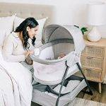 Best Bassinet for Cat Owners